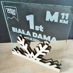 Drewniana statuetka personalizowana nagroda SZKŁO